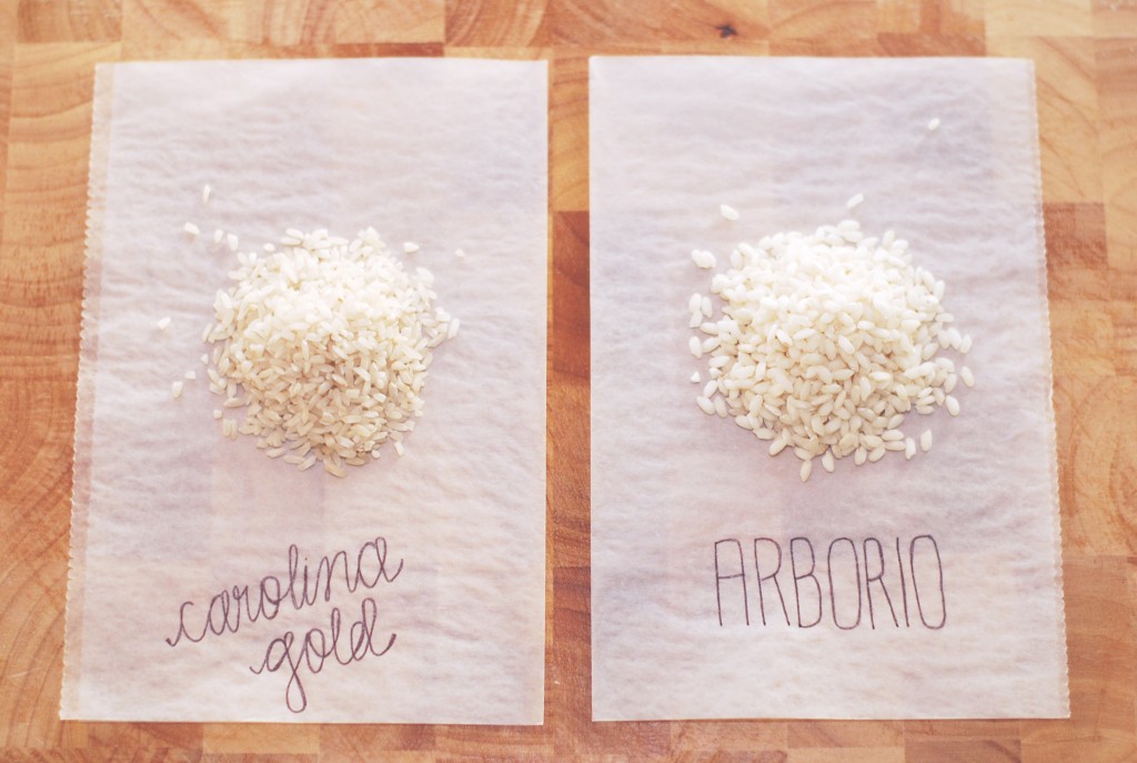 arborio vs. carolina gold rice | getinmymouf.com