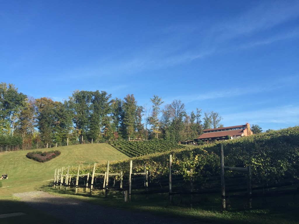 Potomac Point Winery - Stafford, VA