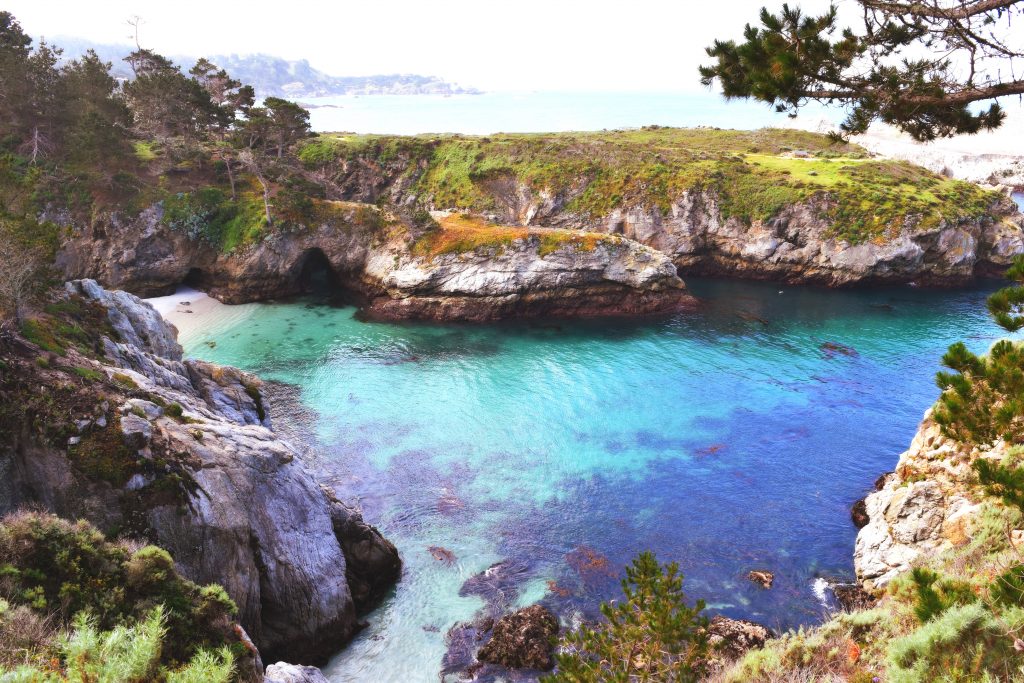 Point Lobos State Natural Reserve - Carmel-By-The-Sea, California | getinmymouf.com